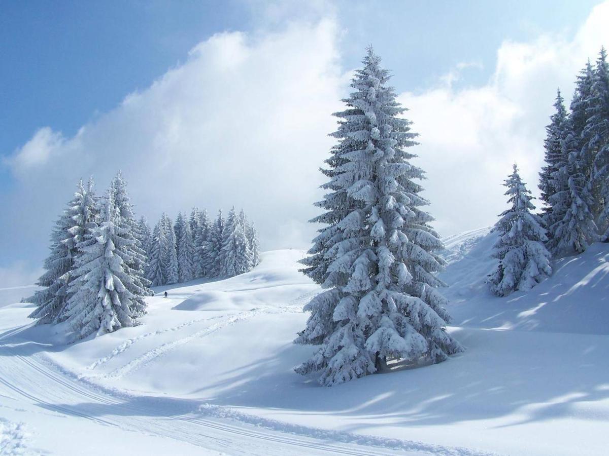 Hotel Mont Thabor Serre Chevalier La Salle-les-Alpes Екстер'єр фото
